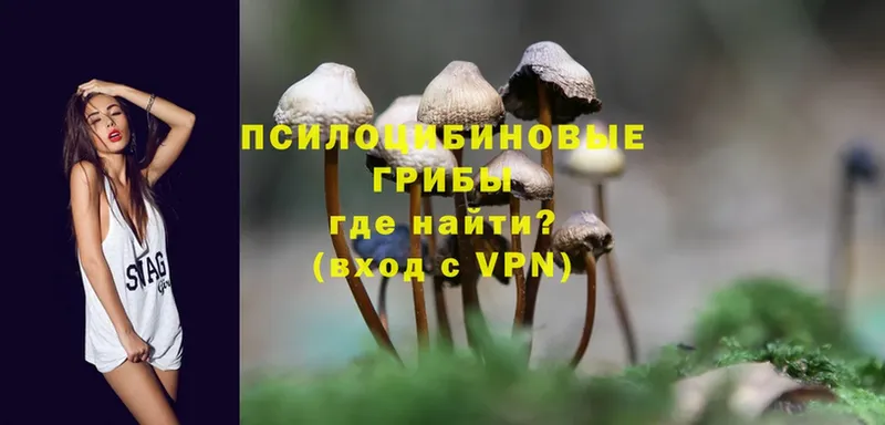 Псилоцибиновые грибы Magic Shrooms  Бодайбо 